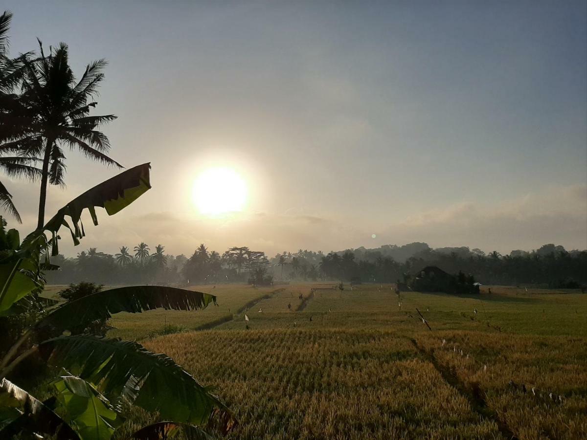 The Satya Villa Ubud Exterior foto